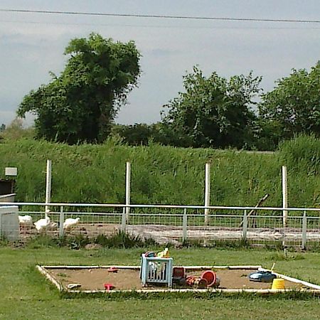 Country House Salome Musile di Piave Exterior photo